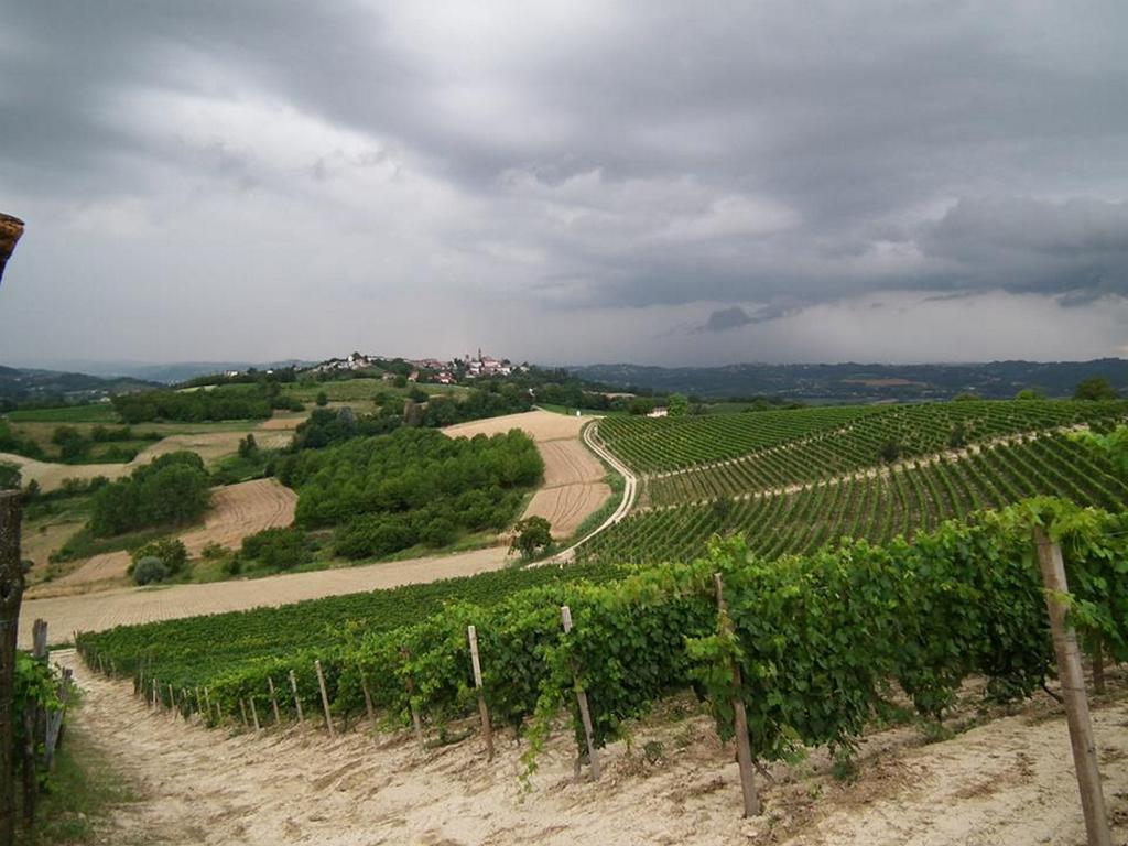 San Rocco Di Villa Di Isola D'Asti Rum bild